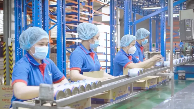 Sản xuất các sản phẩm từ dừa của Công ty TNHH chế biến dừa Lương Quới