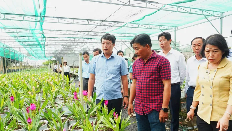 Bí thư Tỉnh ủy Đồng Tháp Lê Quốc Phong (bìa trái) trực tiếp kiểm tra, thăm hỏi bà con làng hoa Sa Đéc