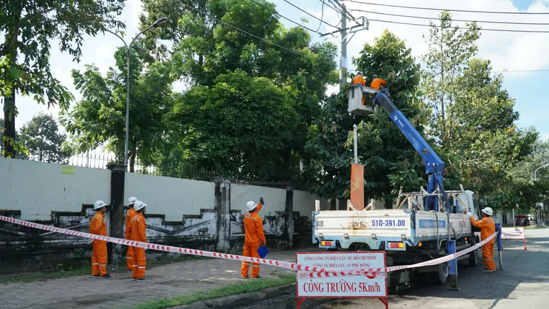 Công nhân ngành điện TPHCM tỉa nhánh cây để đảm bảo an toàn lưới điện mùa mưa bão
