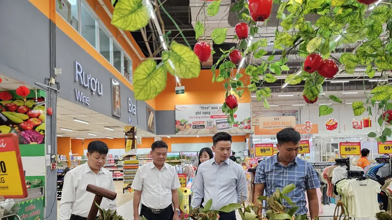 Vải thiều Lục Ngạn được tiêu thụ tại hệ thống siêu thị Saigon Co.op