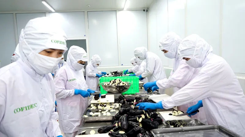 Nguồn nguyên liệu và quy trình sản xuất tại Công ty Phát triển kinh tế Duyên Hải được kiểm soát nghiêm ngặt (ẢNH: PHÚC AN)
