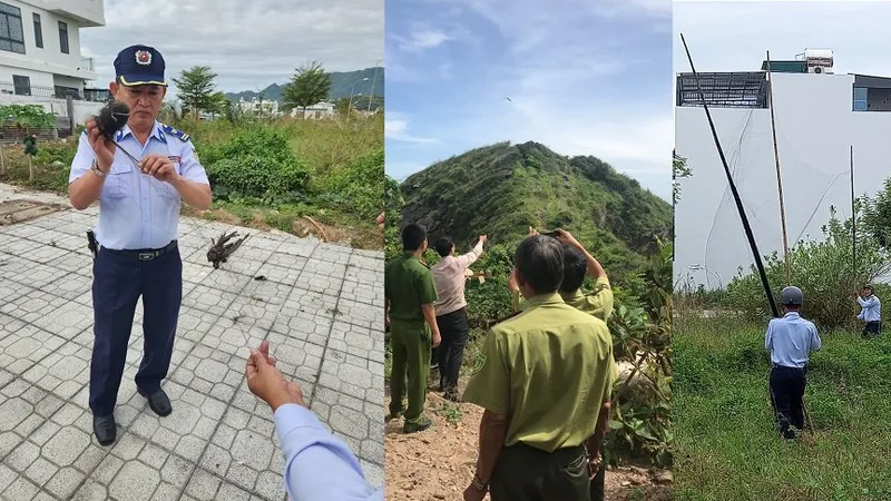 Cần kiên quyết xử phạt nạn săn bắt chim yến