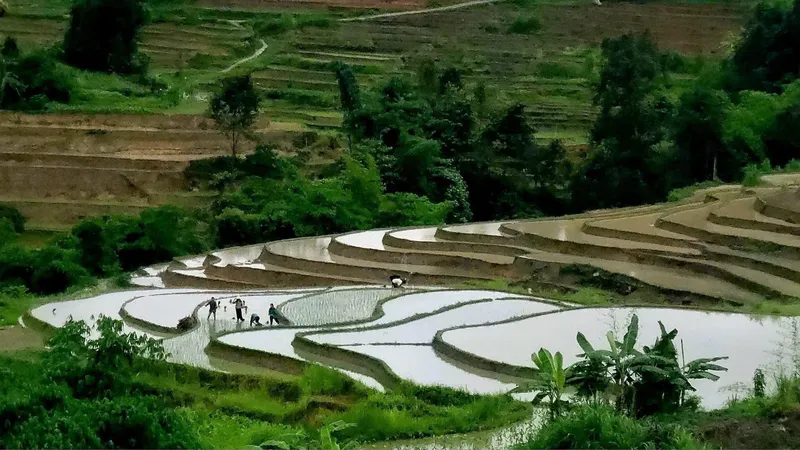 Riz d’Or Ermitage - Top 6 trải nghiệm nhất định phải thử khi đến Hoàng Su Phì 