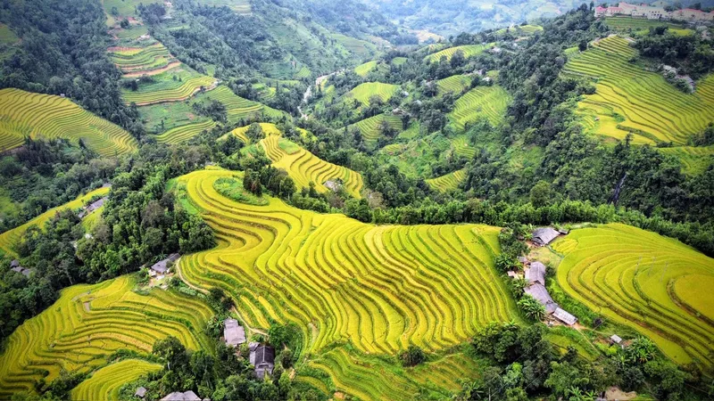 Chà hồ Đại Nam Cổ Trà: Thiên đường “đưa nàng đi trốn” ở Hoàng Su Phì