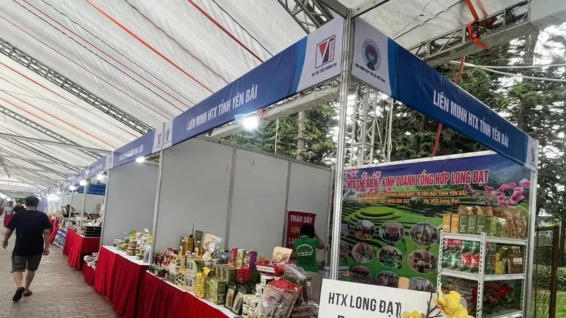 Hội chợ xúc tiến thương mại HTX khu vực miền Nam năm 2025: Cơ hội kết nối giao thương – Phát triển sản xuất, kinh doanh bền vững