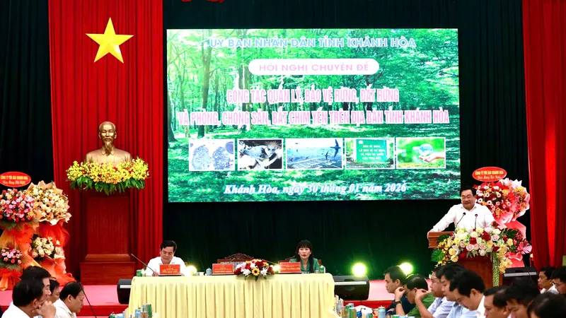 Khánh Hòa “Tuyên chiến” với nạn săn bắt chim Yến: Bảo vệ báu vật Quốc gia