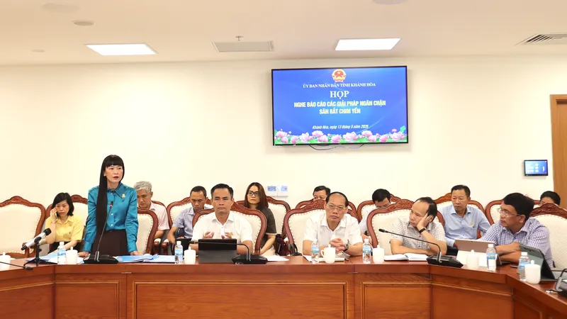 Khánh Hòa: Quyết liệt ngăn chặn tình trạng săn bắt chim yến trái phép
