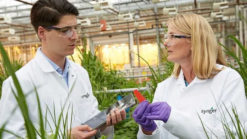 Syngenta được trao tặng 5 giải thưởng về khoa học cây trồng