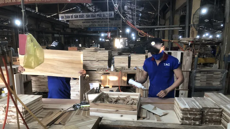 Ngành cao su phát triển kinh tế biên giới - Bài 2: Chuỗi liên kết bền vững từ cây cao su
