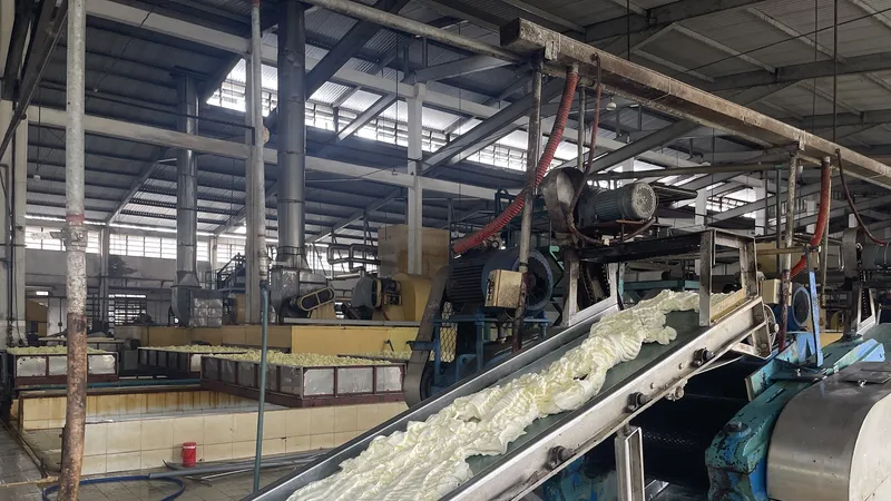 Nhà máy sản xuất của Công ty cổ phần Cao su Phước Hoà cho ra sản phẩm đạt chất lượng tốt