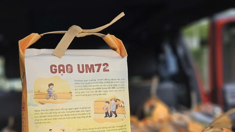 HTX Nông nghiệp TM-DV Du lịch An Phú: Đầu tư xây dựng khu du lịch Sóng Lúa