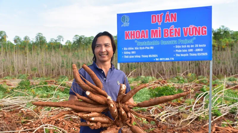 Anh Phan Đình Huynh bên ruộng khoai mì đang thu hoạch