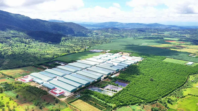 Các dự án xanh đang được quan tâm và đồng hành từ hệ thống ngân hàng