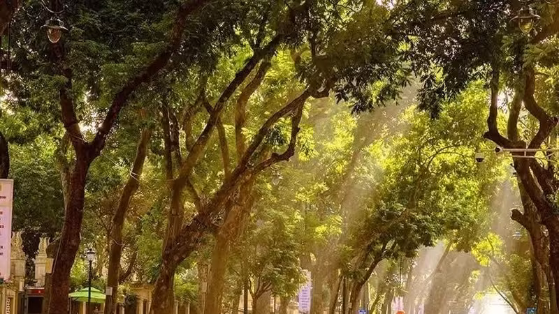 2026年河内秋季文化节于10月16日至18日举办 图自越通社