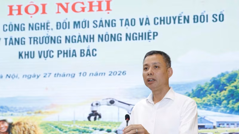 山罗省人委会副主席阮成功表示，山罗阿拉比卡咖啡即将登陆美国夏威夷拍卖平台。