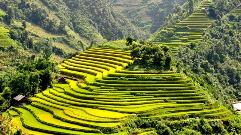 Thắng cảnh Ruộng bậc thang Mù Cang Chải là một trong di tích quốc gia đặc biệt