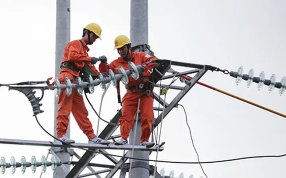  Không tăng giá điện, tiếp tục giảm giá thịt heo