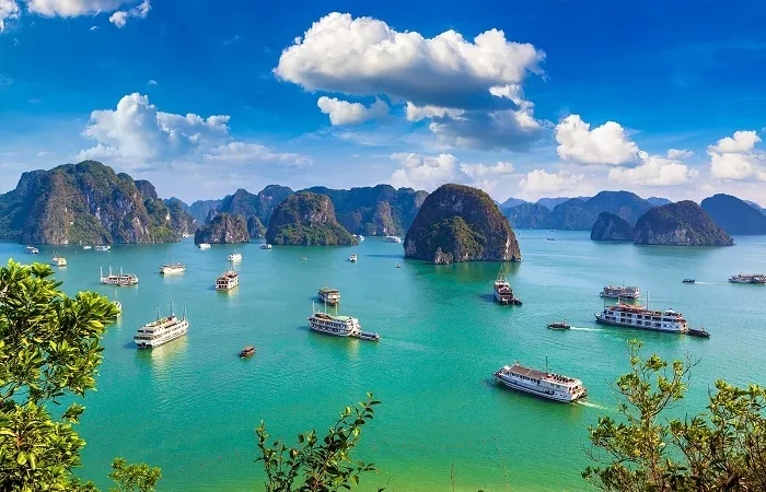 Vịnh Hạ Long-một điểm đến du lịch thu hút đông đảo khách du lịch trong và ngoài nước 