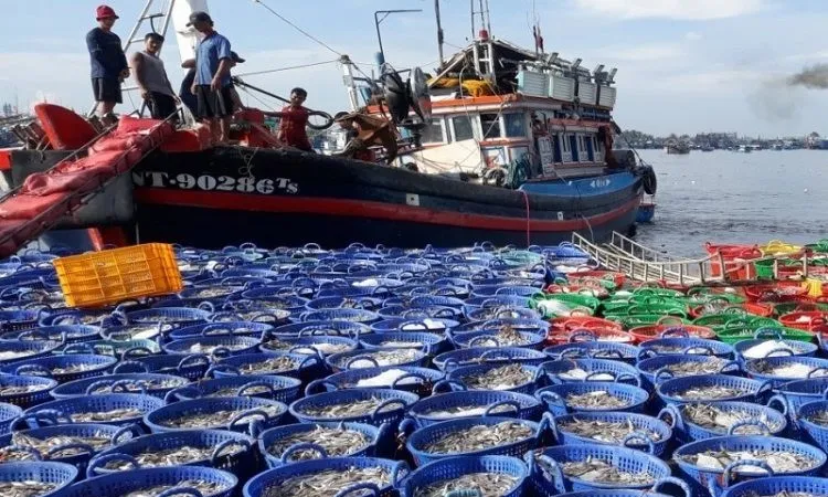 Vi phạm hành chính trong lĩnh vực thủy sản bị phạt tới 2 tỷ đồng