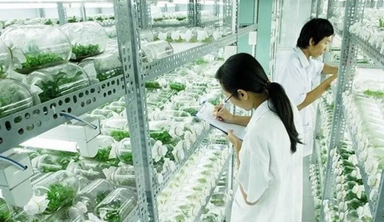 Hà Nội sẽ có khu Công nghệ cao sinh học Hà Nội rộng 200ha