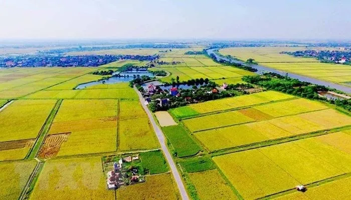 Chính phủ đã lập điều chỉnh quy hoạch sử dụng đất quốc gia thời kỳ 2021-2030, tầm nhìn đến năm 2050