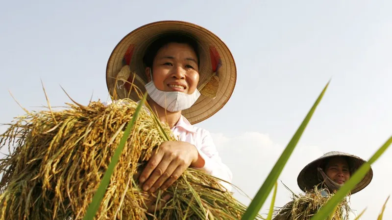Quỹ Hỗ trợ nông dân Trung ương nhằm hỗ trợ hội viên Hội Nông dân
