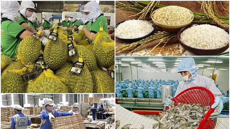 Triển khai ngay các biện pháp ngăn chặn, xử lý vi phạm dư lượng hóa chất trong nông sản