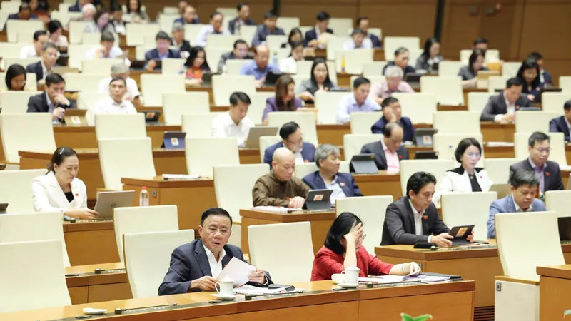 Các đại biểu dự họp Quốc hội ngày 3-12. Ảnh: QUANG PHÚC