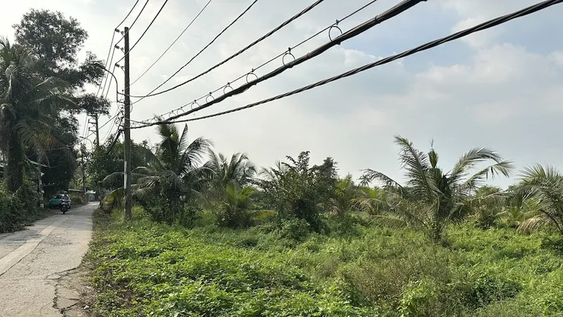 Có ba tiêu chí, điều kiện cụ thể để chuyển mục đích sử dụng đất dưới 2ha đối với đất trồng lúa, đất rừng phòng hộ. Ảnh: THANH HIỀN
