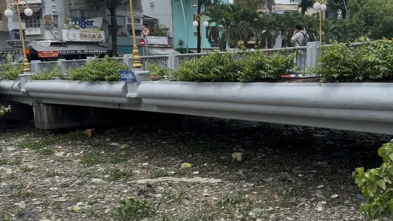 Nguyên nhân cá chết hàng loạt tại kênh Nhiêu Lộc - Thị Nghè