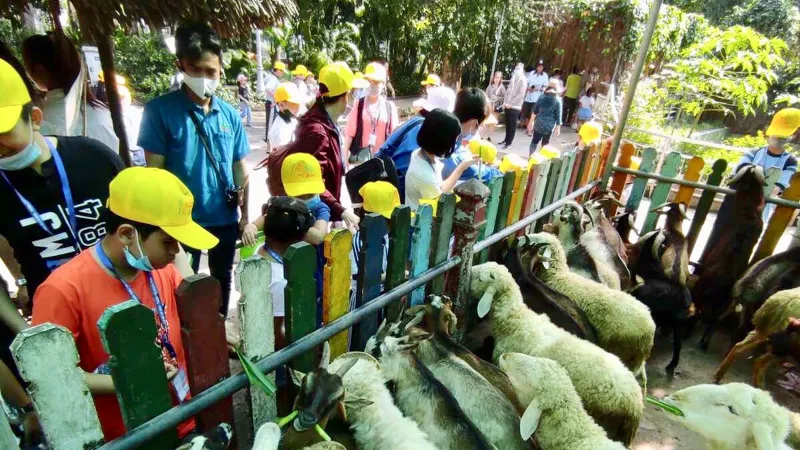 Các em học sinh thích thú tham quan thú nuôi tại Thảo cầm Viên ngày 26-12