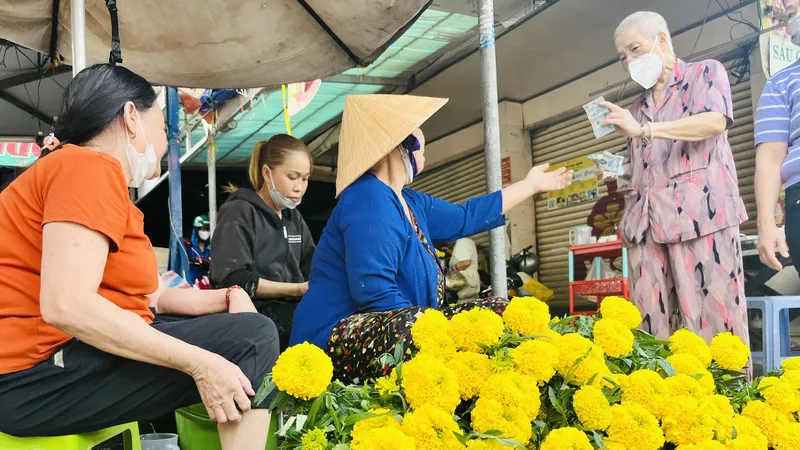 Hoa vạn thọ bán tại chợ Nguyễn Văn Trỗi, quận Phú Nhuận trưa 13-1