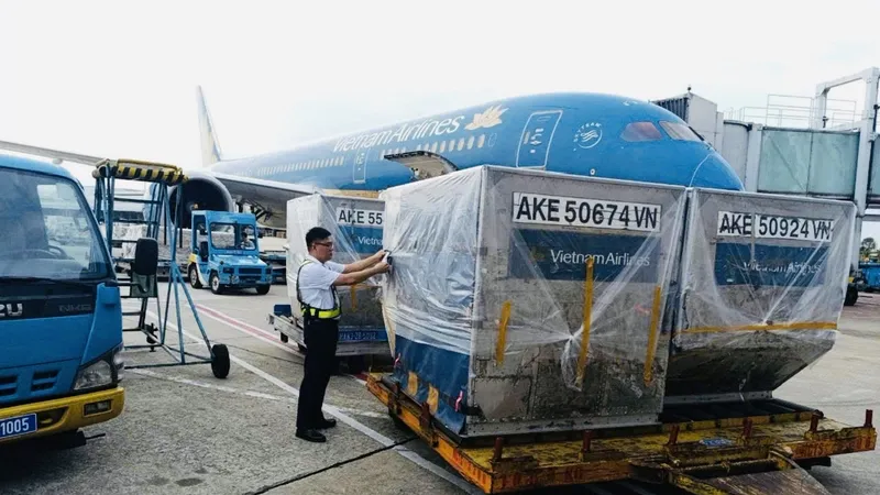 Các lô hàng được đưa lên máy bay hỗ trợ bà con khó khăn ở các tỉnh phía Bắc