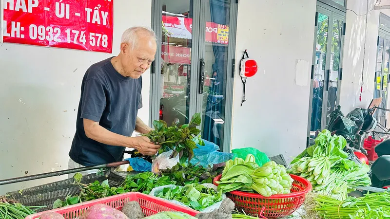 Giá rau ăn lá tăng mạnh
