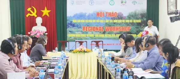 Hội thảo quốc tế về rừng, ngăn xung đột giữa người và voi