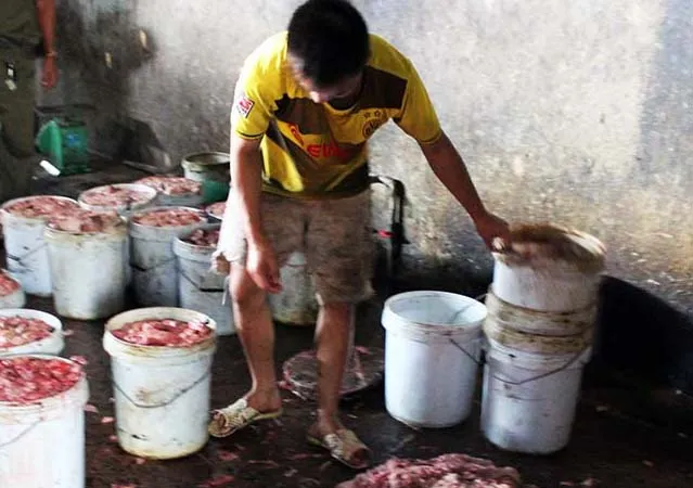 Gom mỡ nội tạng bẩn để sản xuất mỡ bán cho doanh nghiệp