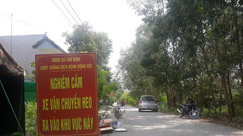  Tạm đình chỉ kiểm dịch viên cấp giấy “lụi” dịch tả heo châu Phi