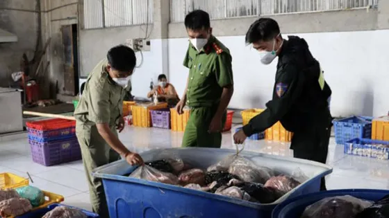 Đồng Nai: Phát hiện 10 tấn nội tạng heo không rõ nguồn gốc
