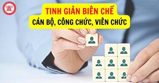 Bộ Chính trị quyết định tinh giản ít nhất 5% biên chế cán bộ, công chức đến năm 2026