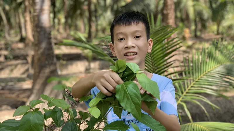 Bức thư học sinh Bến Tre đoạt giải Ba cuộc thi Viết thư quốc tế UPU 2023