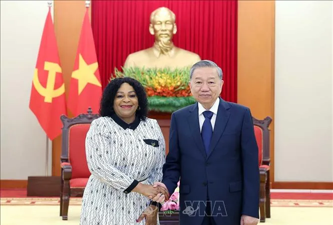 Củng cố tin cậy chính trị và đưa quan hệ Việt Nam - Nam Phi lên tầm cao mới