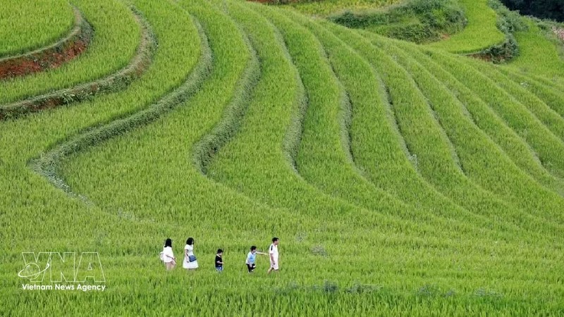 区域联动——为越南旅游业发展注入新动力
