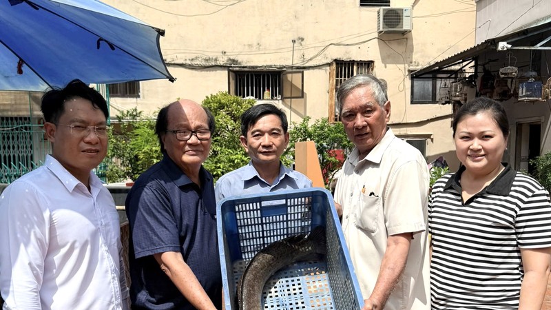 温陵会馆将分类后的鱼类捐给莲谭公园水宫妥善照养。图：丽株