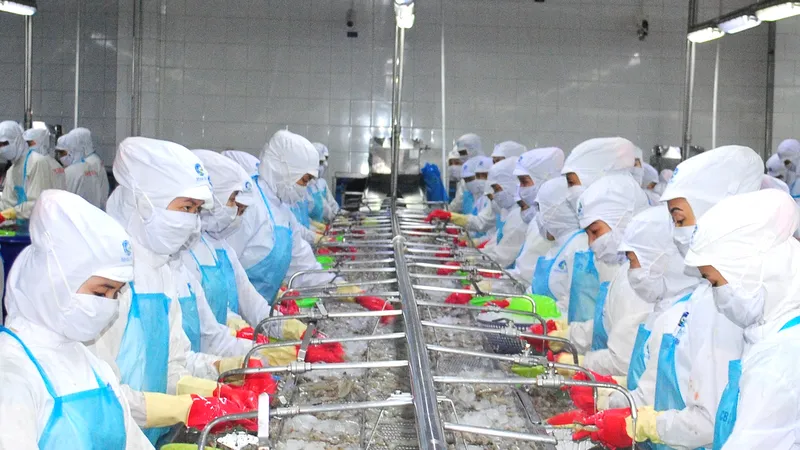 Chế biến và xuất khẩu thủy sản là ngành kinh tế mũi nhọn của tỉnh Cà Mau
