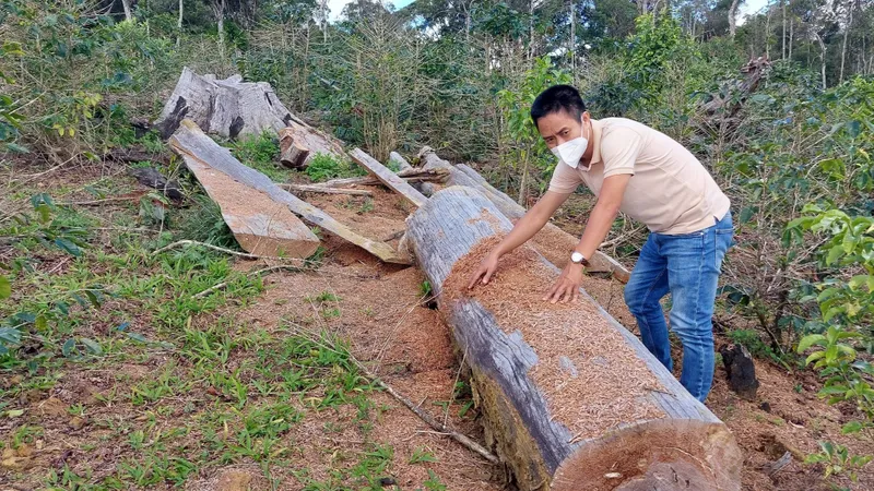 Ban Nội chính Tỉnh ủy Kon Tum vào cuộc vụ 11 dự án giao rừng ở Kon Plông