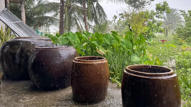 Cái lu, cái khạp