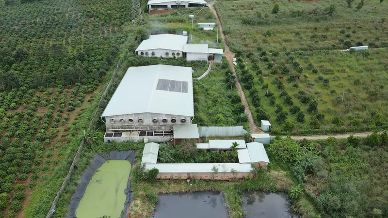 Cơ sở chăn nuôi, chế biến gây ô nhiễm 