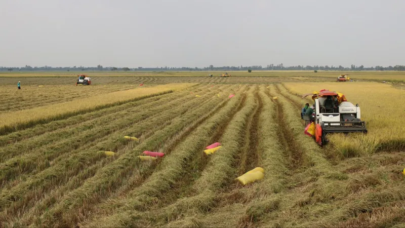 Nông dân miền Tây sẵn sàng