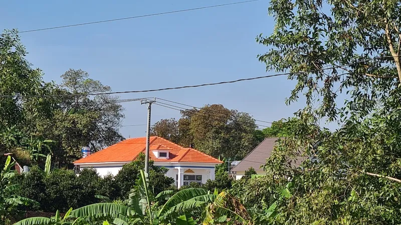 Chủ tịch xã bị tố bao che xây dựng trái phép trên đất nông nghiệp
