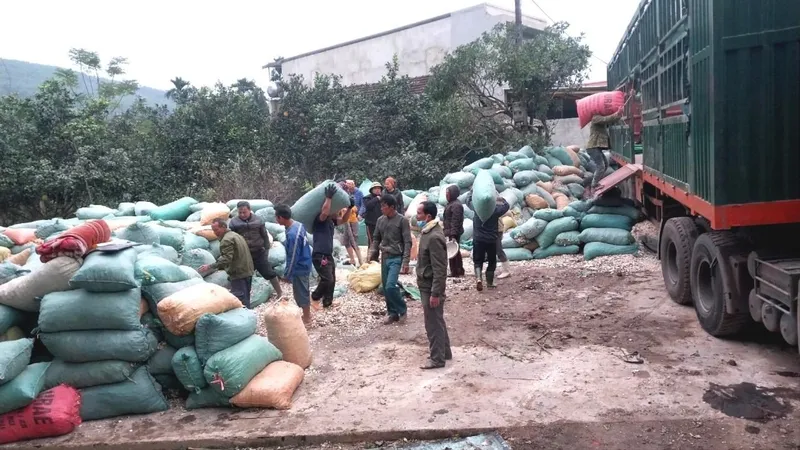 Người dân giúp tài xế bốc xếp những bao tải chứa sắn lên xe tải
